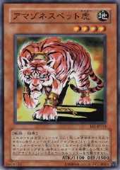 Amazoness Tiger