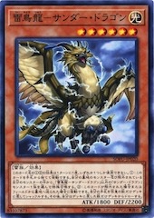 Thunder Dragonhawk