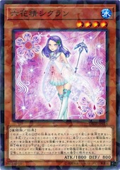 Cyclamen the Rikka Fairy