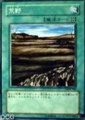 Wasteland