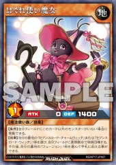 Straynge Cat Witch