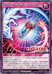 Flash Memory Fusion