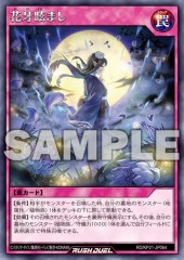 Shadow Flower Bedazzlement