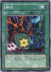 Polymerization