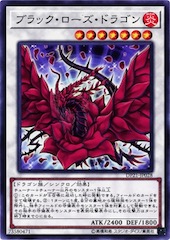 Black Rose Dragon