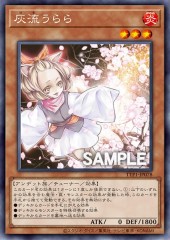 Ash Blossom & Joyous Spring