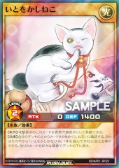 Grace Cat