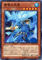 Blue Dragon Ninja