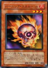 Burning Skull Head