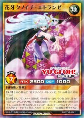 Etraynze the Shadow Flower Ninja