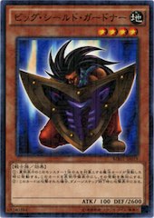 Big Shield Gardna