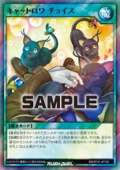 Cat-trois Choice