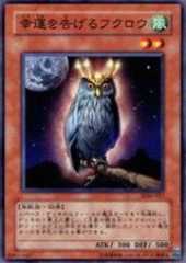 An Owl of Luck