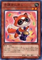 Baby Raccoon Ponpoko