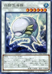 White Aura Dolphin