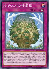 Naturia Sacred Tree